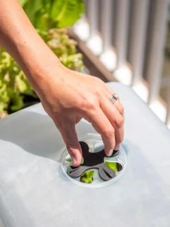 Self-Watering Standing Salad Planter With Cloche 9 Self-Watering Standing Salad Planter With Cloche -Deals Garden Decor Store 8612702 2034 tif