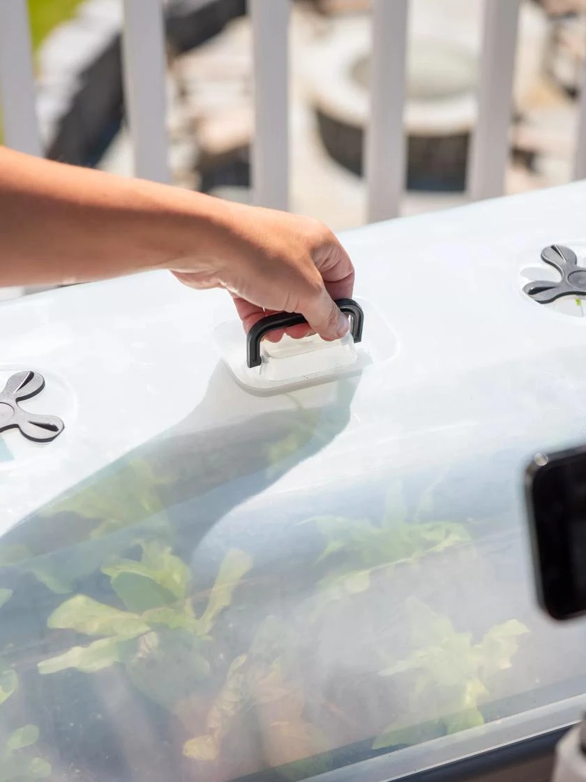 Self-Watering Standing Salad Planter With Cloche 4 Self-Watering Standing Salad Planter With Cloche - Image 4