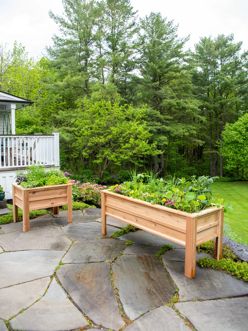 Craftsbury Elevated Raised Beds 1 Craftsbury Elevated Raised Beds