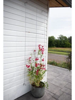 Chicken Wire Wall Trellis -Deals Garden Decor Store 8612717 0081