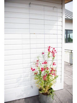 Chicken Wire Wall Trellis -Deals Garden Decor Store 8612717 0093