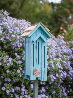 Heartwood Flutter Flat Butterfly House