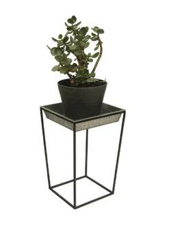 Achla Designs Arne Plant Stand 12 Achla Designs Arne Plant Stand -Deals Garden Decor Store 8612899 03v