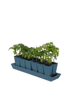 Gardener's Best® XL Seed Starting Kit 16 Gardener's Best® XL Seed Starting Kit -Deals Garden Decor Store 8613066 0029