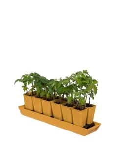 Gardener's Best® XL Seed Starting Kit 14 Gardener's Best® XL Seed Starting Kit -Deals Garden Decor Store 8613066 1029