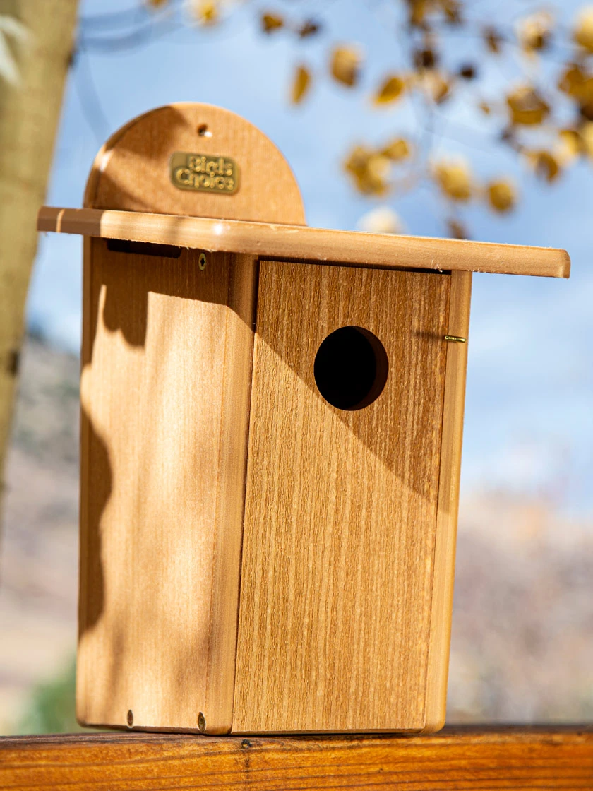 Spruce Creek Bluebird House 1 Spruce Creek Bluebird House