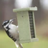 Birds Choice™ Suet Feeder