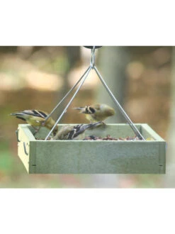 Birds Choice™ Tray Bird Feeder, Small 6 Birds Choice™ Tray Bird Feeder, Small -Deals Garden Decor Store 8613221 03v