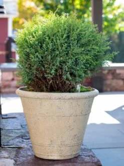 Self-Watering LavaStone® Anson Pot -Deals Garden Decor Store 8613255 0144