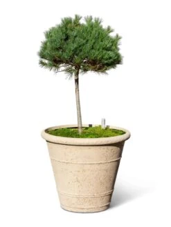 Self-Watering LavaStone® Anson Pot -Deals Garden Decor Store 8613256 0138