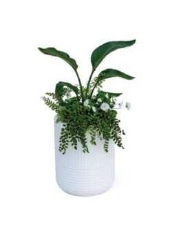Arden Round Planter 15 Arden Round Planter -Deals Garden Decor Store 8613267 0115