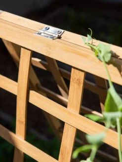 Bambo A Frame Plant Support, 30" X 42.5" 13 Bambo A Frame Plant Support, 30" X 42.5" -Deals Garden Decor Store 8613310 6525