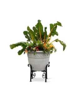 Covington Adjustable Plant Stands -Deals Garden Decor Store 8613347 0119