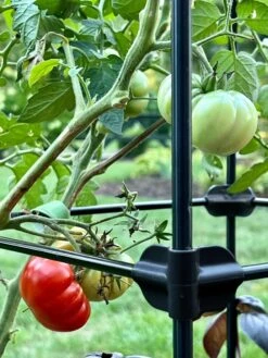 Oasis Self-Watering Tomato Planter With Trellis 15 Oasis Self-Watering Tomato Planter With Trellis -Deals Garden Decor Store 8613440 01TEST