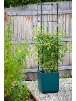 Oasis Self-Watering Tomato Planter With Trellis 13 Oasis Self-Watering Tomato Planter With Trellis -Deals Garden Decor Store 8613440 0376 3 4 1