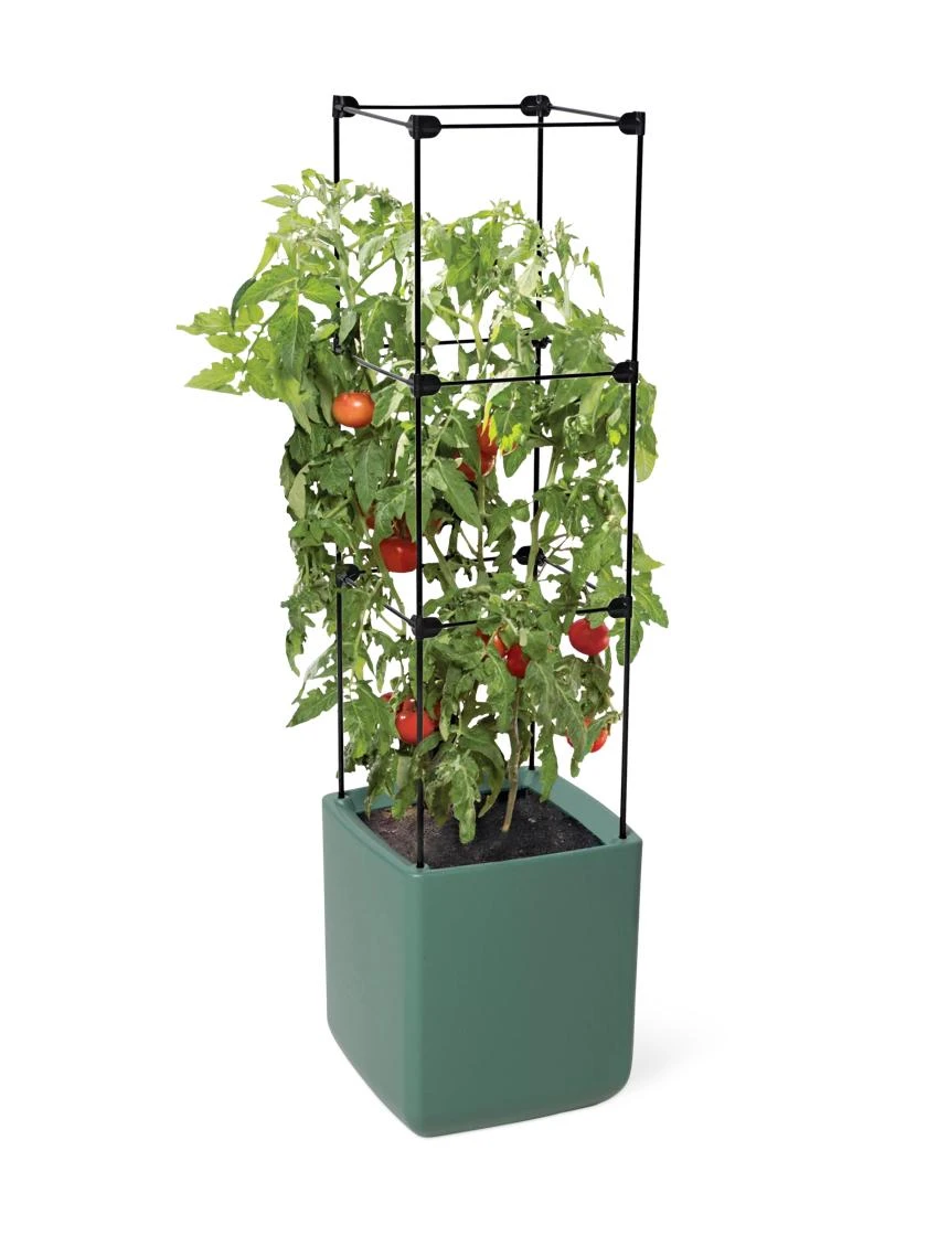 Oasis Self-Watering Tomato Planter With Trellis 2 Oasis Self-Watering Tomato Planter With Trellis - Image 2