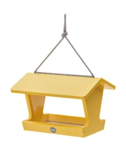 Color Pop Hopper Bird Feeder