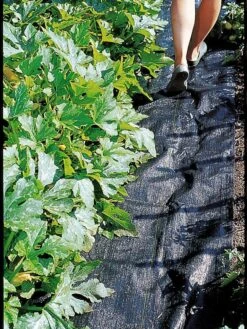 Pro Weed Mat, 3' X 50'