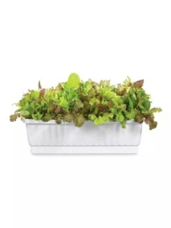 31" Self-Watering Window Box -Deals Garden Decor Store GS36523 01Z 3 4