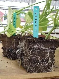 2-3/4" Square Cowpots 6-Packs, Set Of 4 -Deals Garden Decor Store GS37034 05