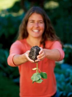 Deep Root Seedstarting System, Black -Deals Garden Decor Store GSCOVSPR06D2 01