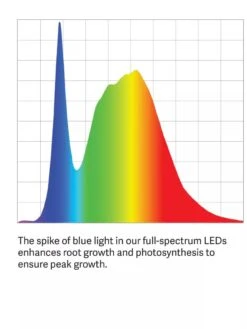 Floor Sunlite® Garden -Deals Garden Decor Store LED ColorSpectrum grid PDP 14