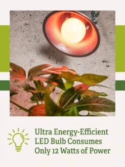 Miracle LED® Absolute Daylight™ Max Flowering Grow Light Bulb -Deals Garden Decor Store Miracle Daylight Bulb 2