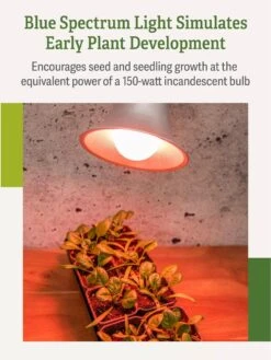 Miracle LED® Absolute Daylight™ Max Flowering Grow Light Bulb -Deals Garden Decor Store Miracle Daylight Bulb 4
