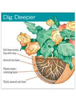 AquaSav™ Replacement Liners, Set Of 3 6 AquaSav™ Replacement Liners, Set Of 3 -Deals Garden Decor Store hiw 38 583