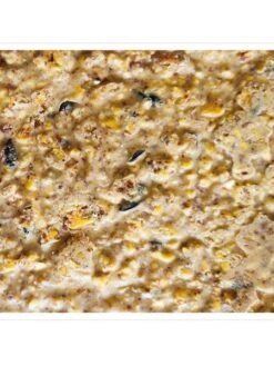 Peanut Apple Suet, 11.75 OZ, 12 Pack -Deals Garden Decor Store webimage 8613690 04V